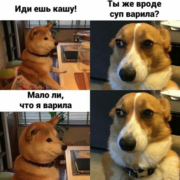 Ты же вроде суп варила Иди ешь кашу