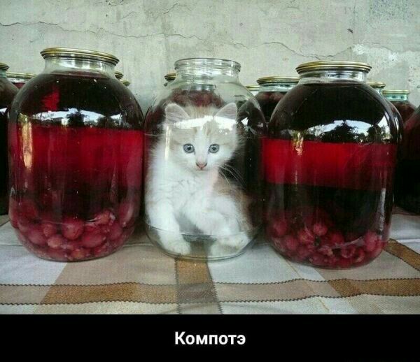 Компотэ