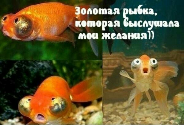 _зомппя цін мда копиры сп м моцжемшят аъ 1