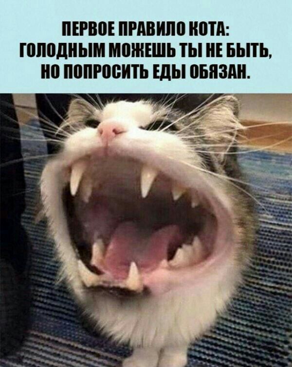 ПЕРВПЕ ПРАВИЛ ШПД ППЮДНЫМ МШНЕШЬ ТЫ НЕ БЫТЬ но ПВПЮВИТЬ шы ПЕНЗА