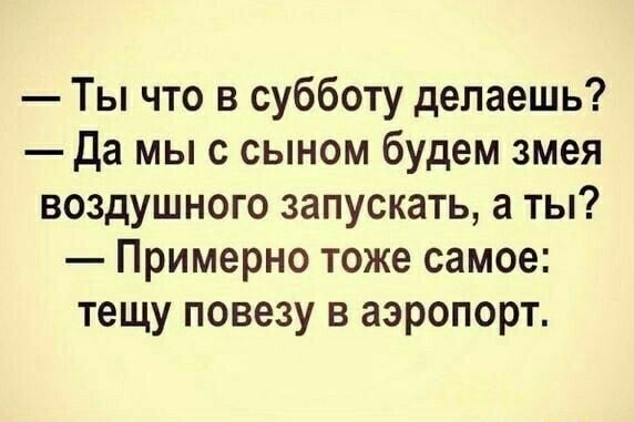 Ты что в субботу делаешь да мыс сыном будем змея воздушного запускать а ты Примерно тоже самое тещу повезу в аэропорт