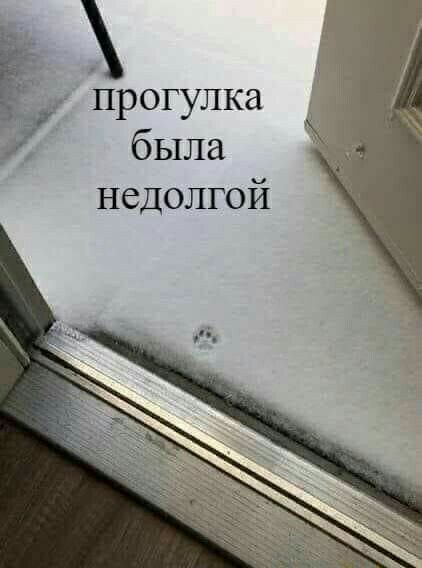 Ё Прогулка 1 и была недолгой