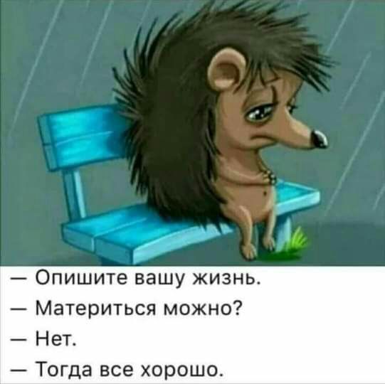 Опишите вашу жизнь Материться можно Нет Тогда все хорош