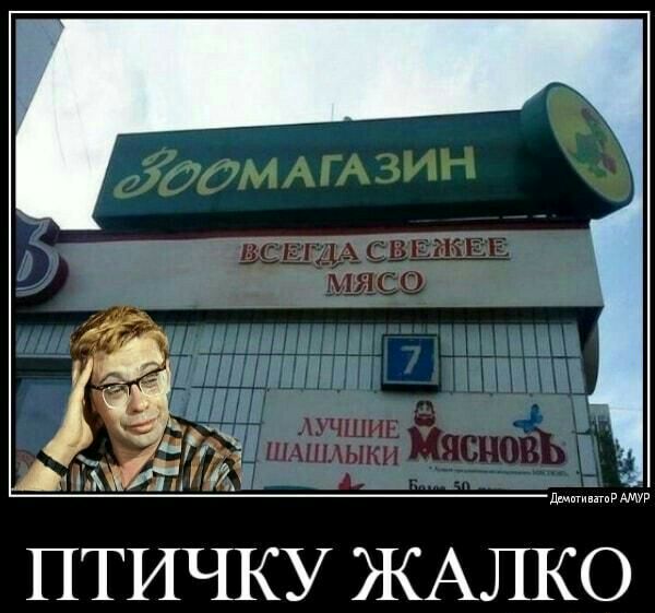 _ Ъ тд к ПТИЧКУ ЖАЛКО