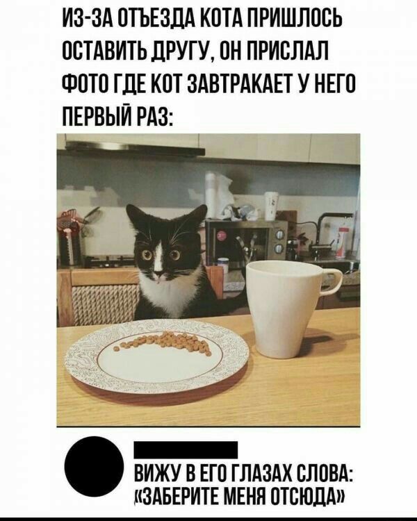 ИЗ ЗА ПТЬЕЗДА КПТА ПРИШЛПВЬ ПСТАВИТЬ ЛРУГУ ПН ПРИВЛАЛ ФОТО ГДЕ КПТ ЗАВТРАКАЕТ У НЕГП ПЕРВЫЙ РАЗ ВИЖУ В ЕП ГЛАЗАХ СЛОВА ИЗАБЕРИТЕ МЕНЯ ОТСЮДА