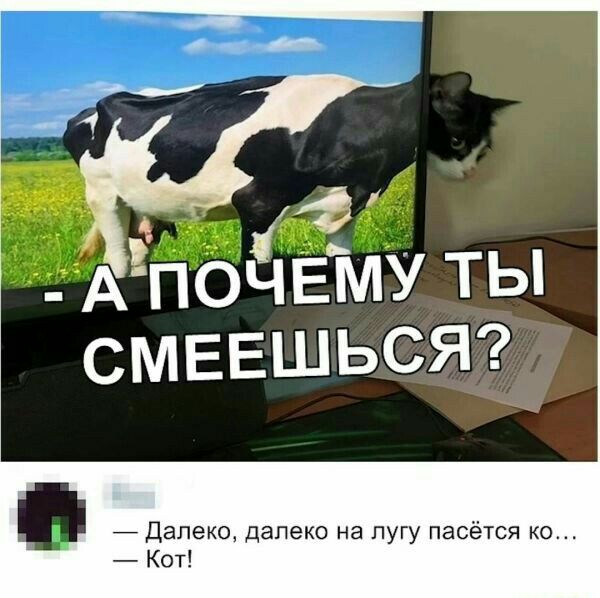313 1 АпоЁіЕ