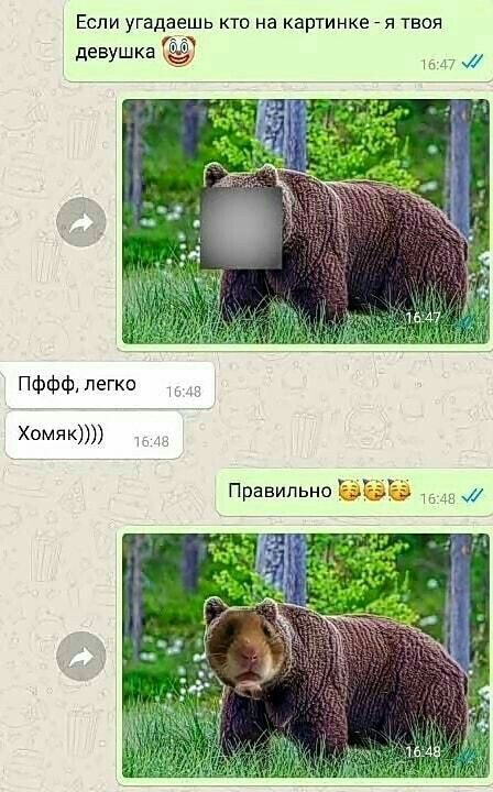Если угадаешь кто на картинке _ я твоя девушка ПФФФ Легко ХОМЯКЮ ПравильноЁд