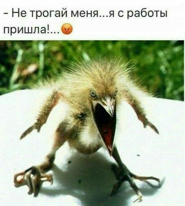 Не трогай меняя с работы пришла
