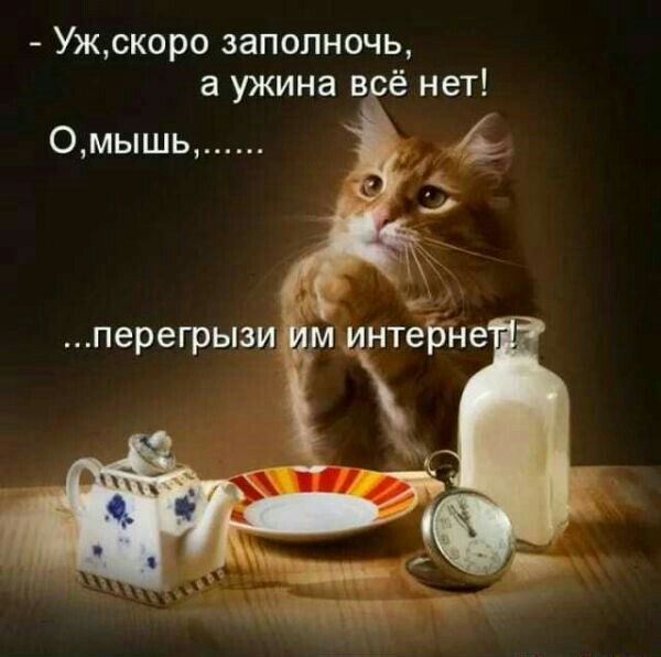 Ужскоро заполночь а ужина в ё нет