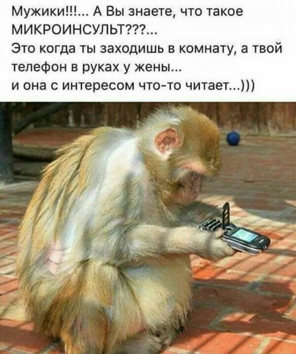 Мужики А Вы знаете что такое МИКРОИНСУЛЬТ Это когда ты заходишь в комнату а твой телефон в руках у жены и она с интересом что то читает_