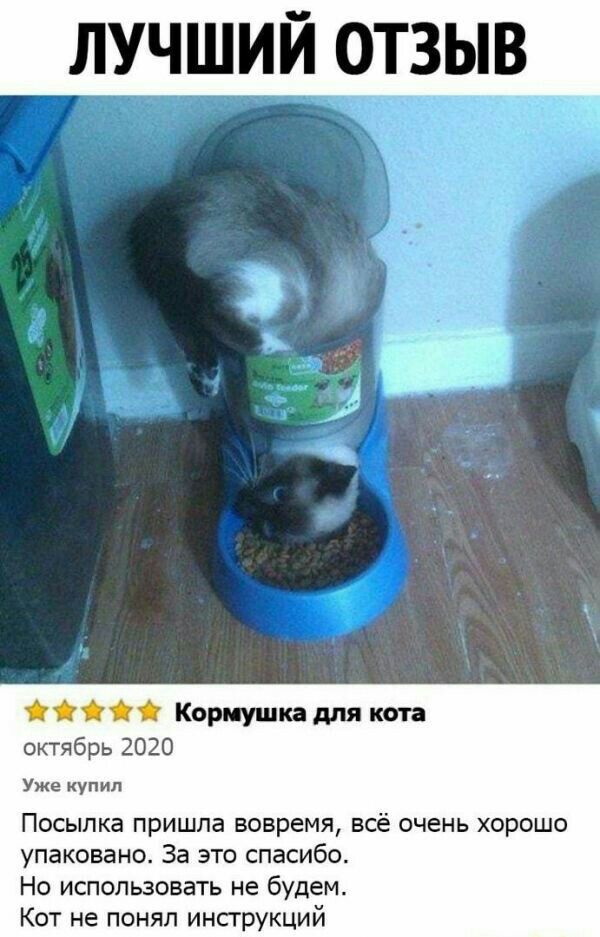 лучший отзыв о Кормушка для кт октябрь 2 Уже купил Посылка пришла вовремя всё очень хорошо упаковано За это спасибо Но использовать не будем Кот не понял инсгрукций