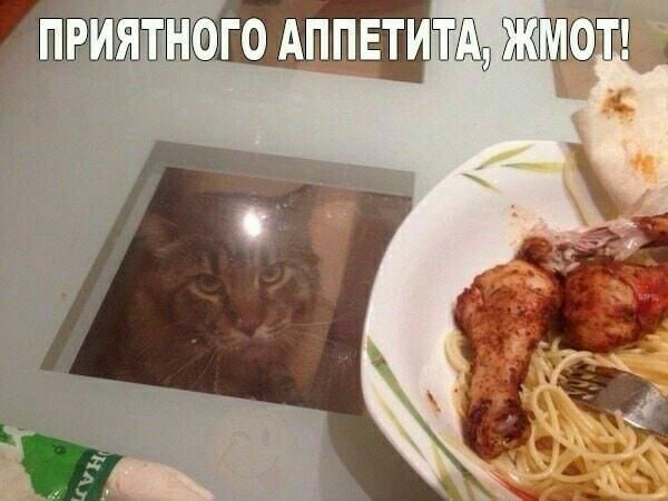 п  приятного аппетита !