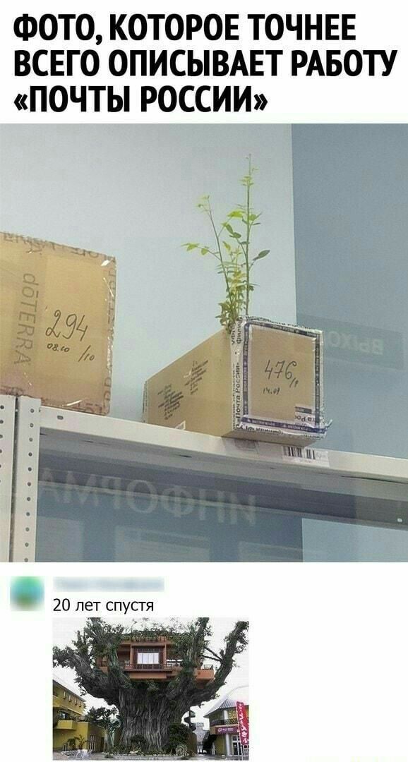 ФОТО которов точнвв всего описышт РАБОТУ почты россии