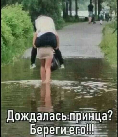 ДождгёЁсьщрТЁца БЕрегшета і