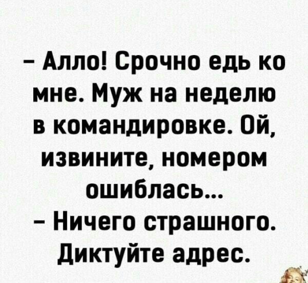Алло Срочно едь ко мне Муж на неделю в командировке Ой извините номером ошиблась Ничего страшного диктуйте адрес