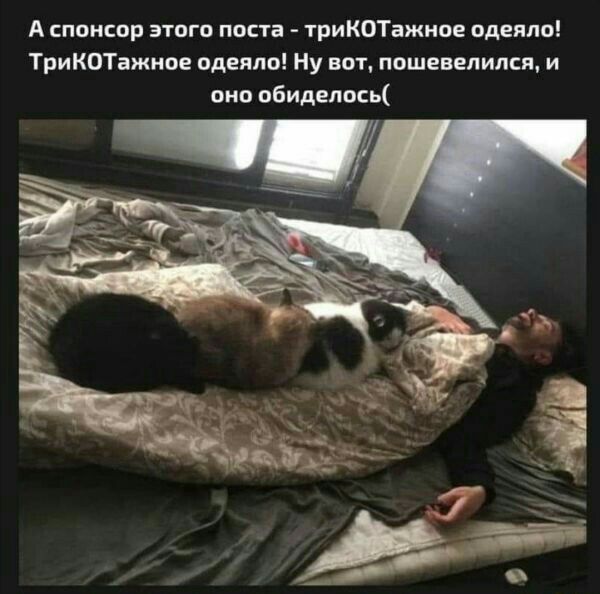 А спонсор этого поста триКОТажное одеяло ТриКОТажиое одеяло Ну вот пошевелил ш и оно обиделссь