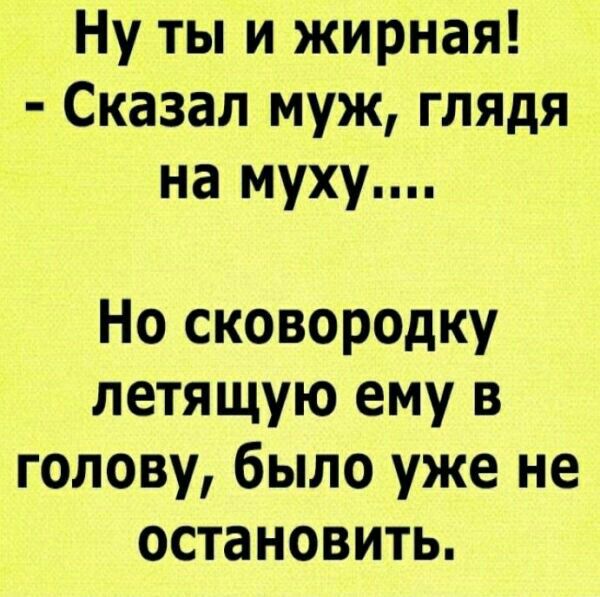 Ну ты и жирная Сказал муж глядя на муху Но сковородку летящую ему в голову было уже не остановить