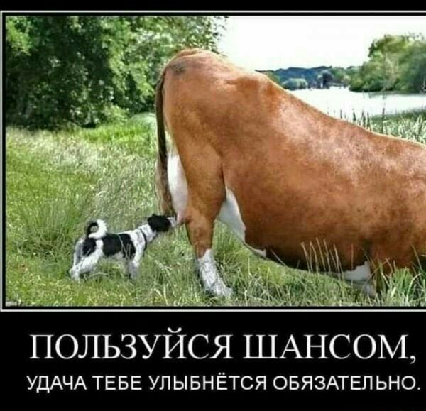 ПОЛЬЗУЙСЯ ШАНСОМ УДАЧА ТЕБЕ УЛЫБНЕТСЯ ОБЯЗАТЕЛЬНО