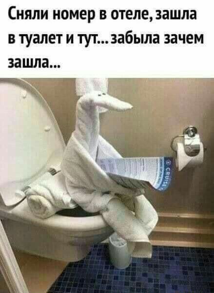 Сняли номер в отеле зашла в туалет и тут забыла зачем