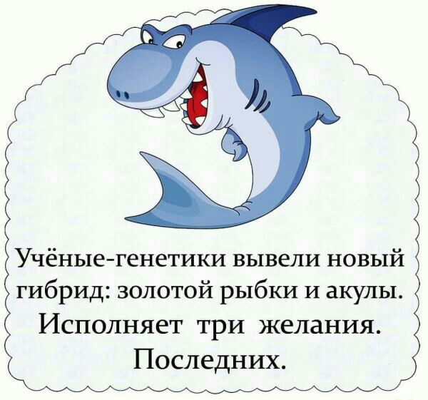 Учёные генетики вывели новый гибрид золотой рыбки И акулы Исполняет три желания Последних
