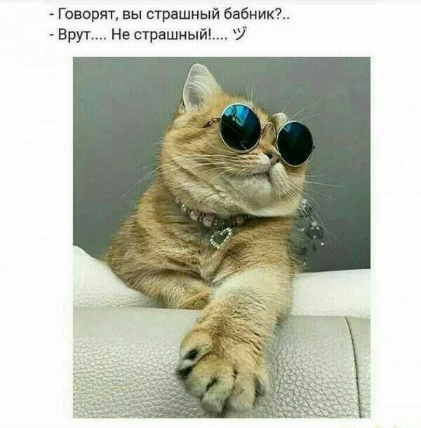 Говорят вы страшный бэбник Брут Не страшный і