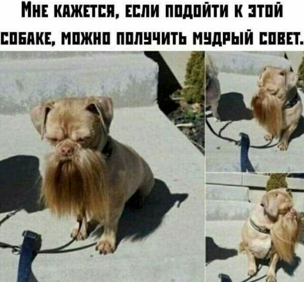 МНЕ КПЖПЕП ЕСЛИ ППдПЙТИ К ЗТПЙ СВЫШЕ МПЖНП ПППНЧИТЬ МЕДНЫЙ ЕПВЕТ _