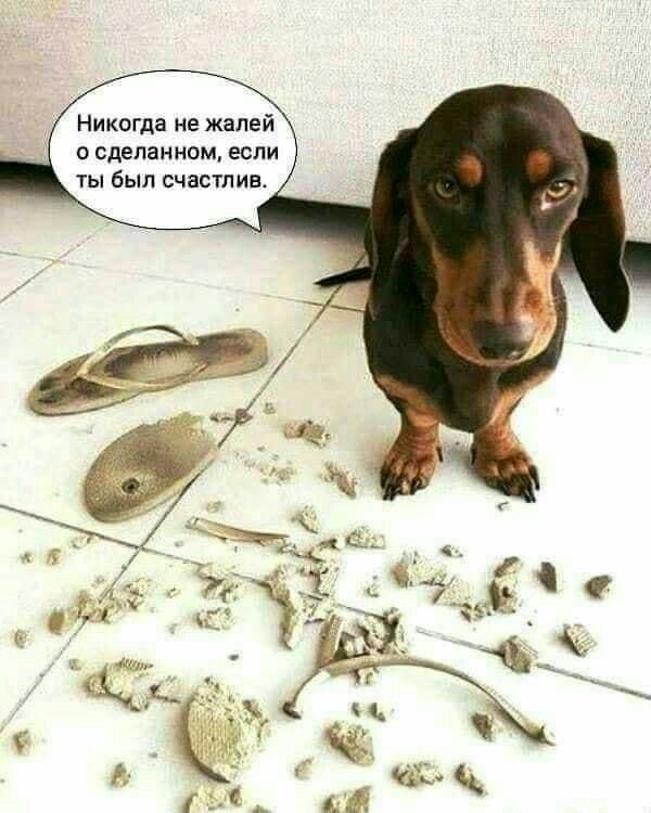 Никогда не жалей о сделанном если ты был счастлив