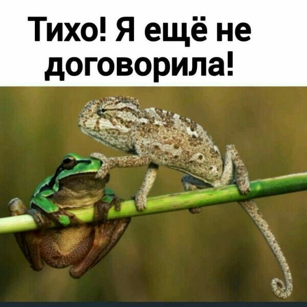 тихо я ещё не договорила дБд _сщ мт