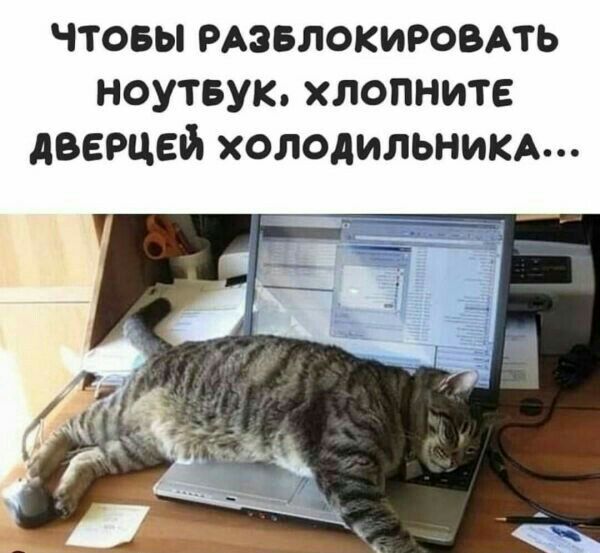 чтовы РАЗБЛОКИРОВАТЬ ноутвук хлопните дверцей холодильным