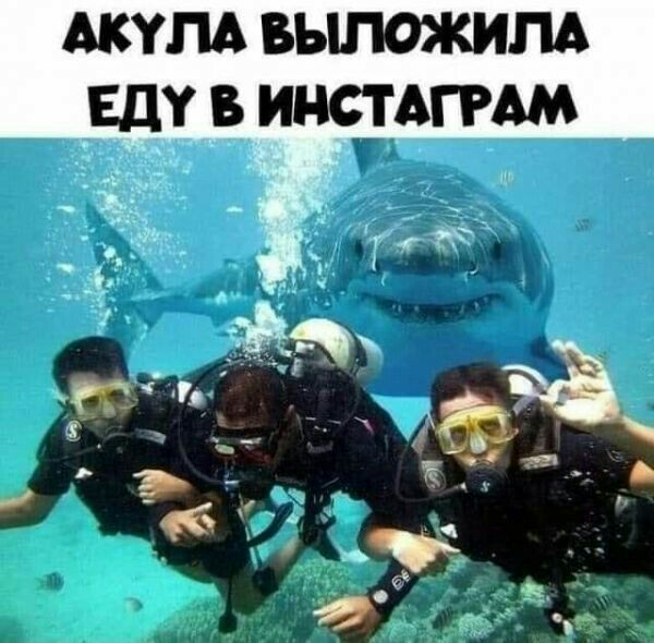 Акупд выложим _шу инстАггАм