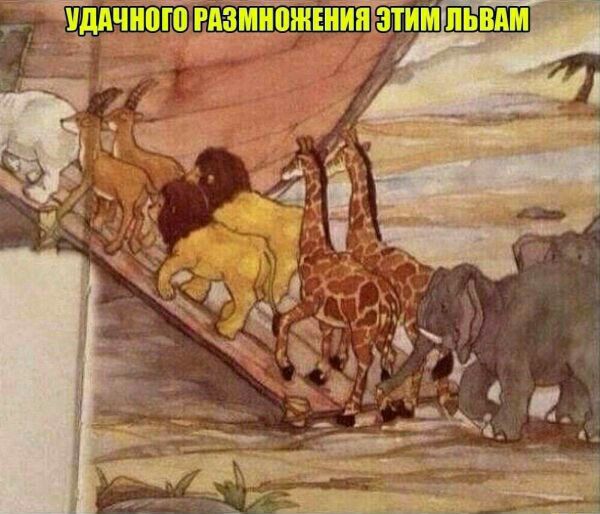 пьвдмі __іщц