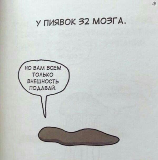 У ПИЯВОК 32 МОЗГА НО ВАМ ВСЕМ ТОАЬКО ВНЕШНОСТЬ ПОААВАЙ