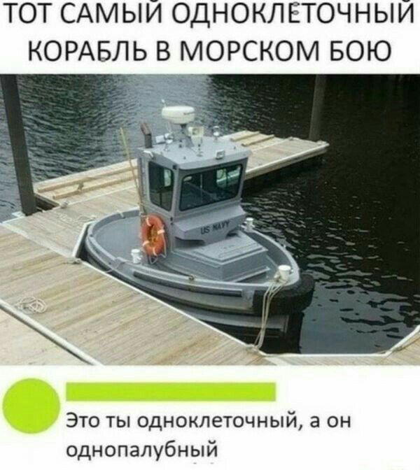 ТОТ САМЫЙ ОДНОКЛЕТОЧНЫЙ КОРАБЛЬ В МОРСКОМ БОЮ Это ты одноклеточный а он однопапубный