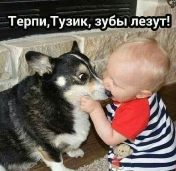ТерпиТузик зубы лезут