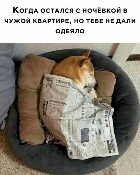 КОГДА остАлся с ночёвкой в ЧУЖОЙ КВАРТИРЕ НО ТЕБЕ НЕ дАЛИ одеяло