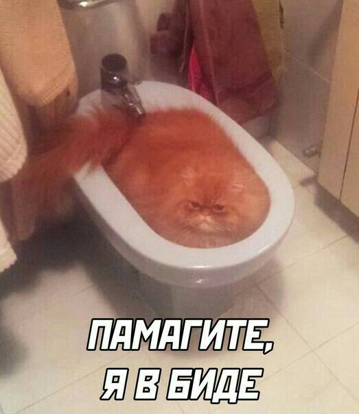 ШВЕШЕ