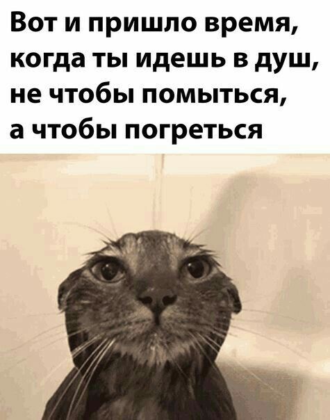 Вот и пришло время когда ты идешь в душ не чтобы помыться а чтобы погреться