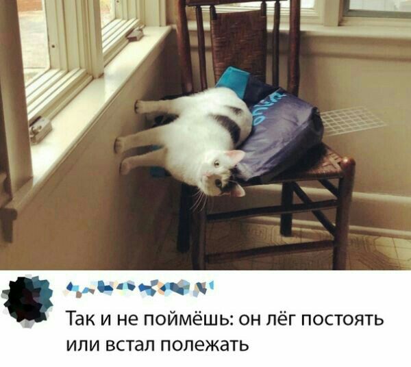 с _ Так и не поймёшь он лёг постоять ИПИ встал ПОПеЖаТЬ