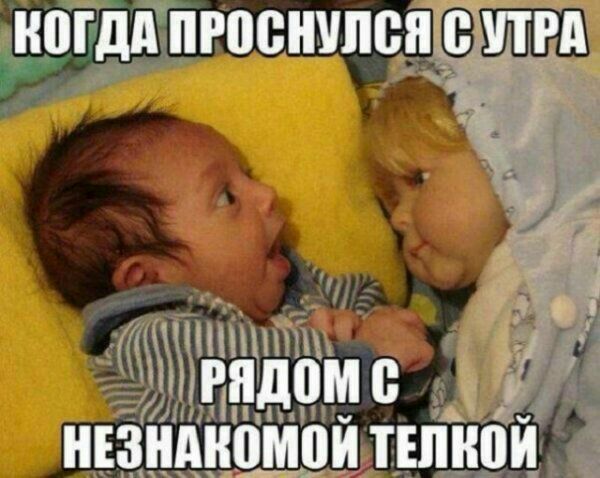 М П В РВБ Т 8 1