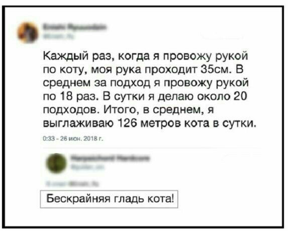__ ___ Каждый раз когда я провожу рукой по коту моя рука проходит 35см В среднем за подход я провожу рукой по 18 рады В сутки я делаю около 20 подходов Итиго в среднем я выглаживаю 126 метров кота в сутки ____ Бескрайняя гладь кота