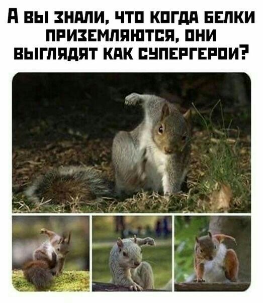 д ВЫ ЗНМИ ЧТП КПГдд ЕЕПКИ ПРИЗЕМПЯШТПП ПНИ ВЫПШдПТ КАК ПНПЕРГЕРПИ