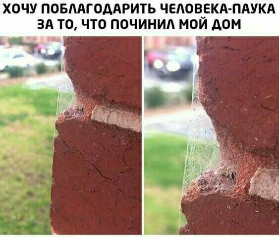 ХОЧУ ПОБААГОДАРИТЬ ЧЕАОВ_ЕКА ПАУКА ЗА ТО ЧТО ПОЧИНИА МОИ АОН