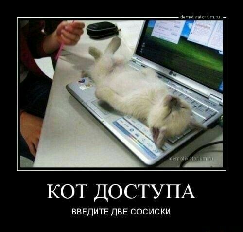 КОТ ДОСТУПА ВВЕДИТЕ дВЕ СОСИСКИ
