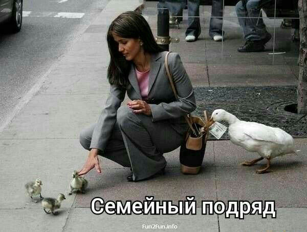 ййпрдяд