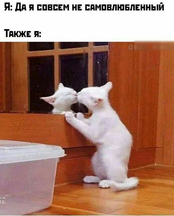 Я дд Я БПЕБЕМ НЕ СПМБЕЛШБЛЕННЫЙ