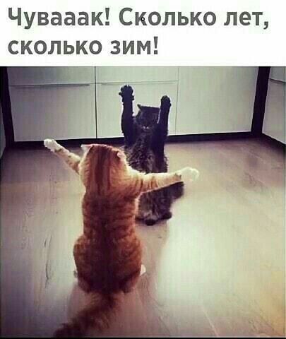 Чувааак Сколько лет сколько зим