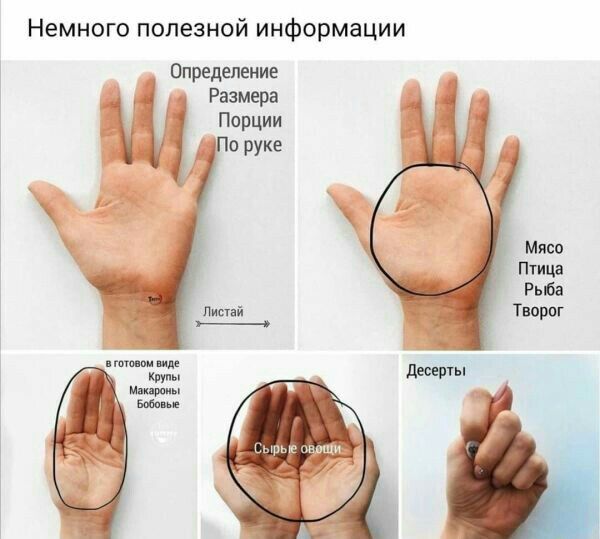Немного полезной информации Опредвлыие Размера з Порции По руке Мясо птиц на тт