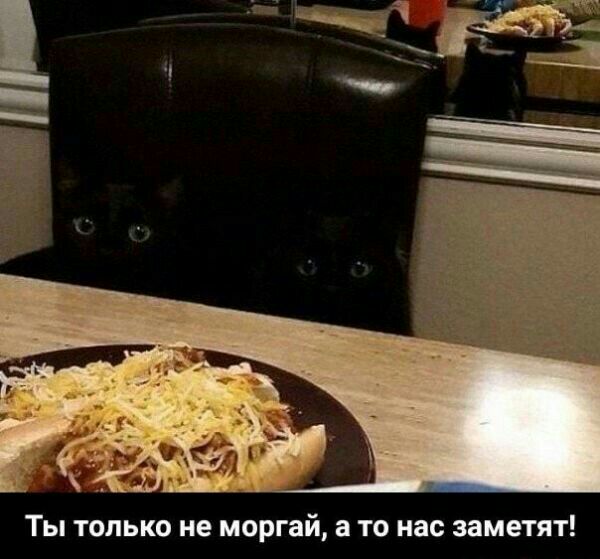 Ты только не моргай то нас заметят