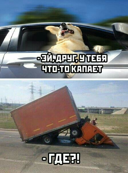 _ Ё ЗИРДРНГ ТЕБЯ