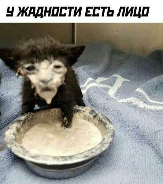 Н ЖдДНШ ТИ ЕСТЬ ЛИЦП